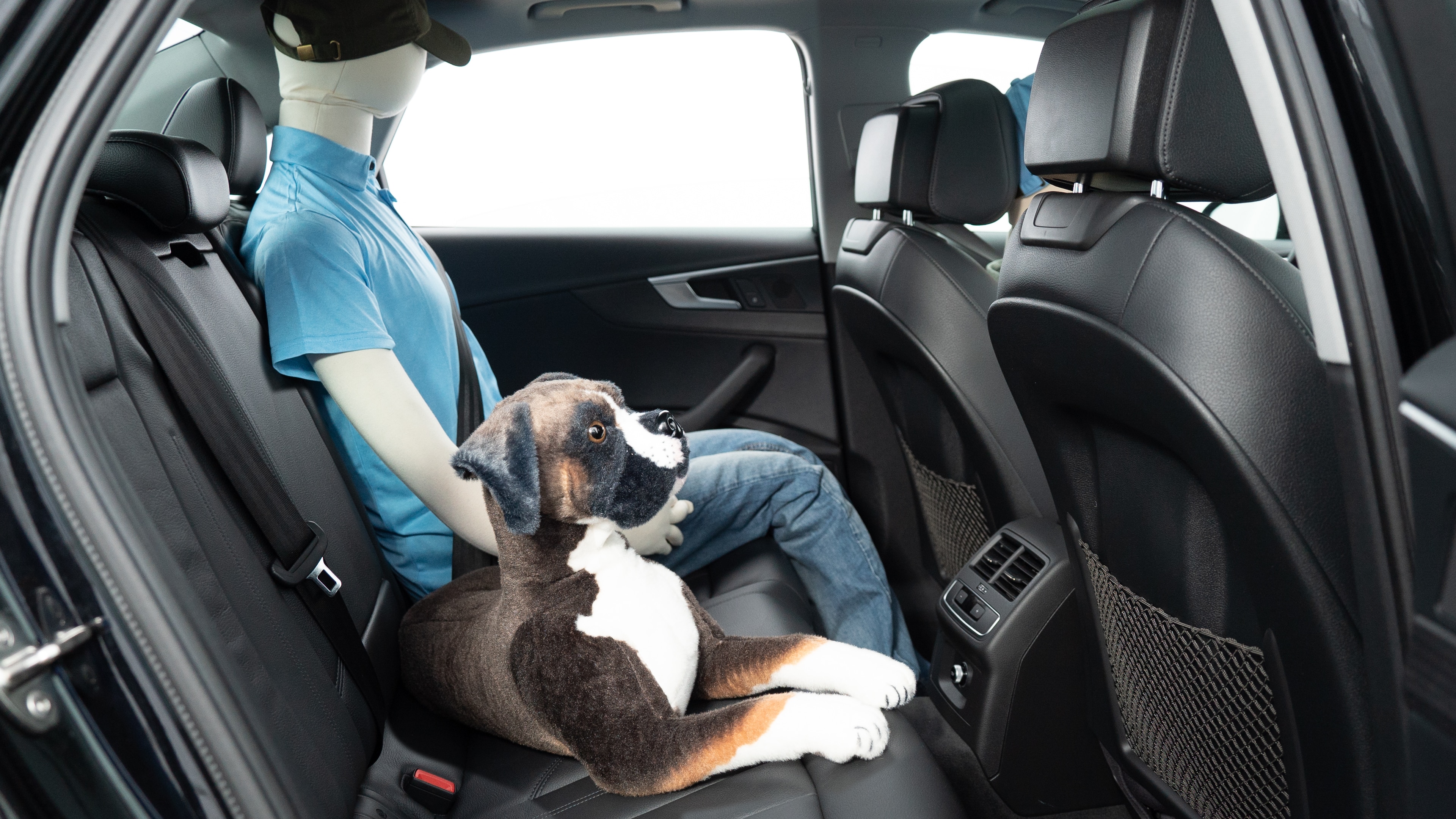 A series of second-row backseat photos is shown including one seating a baby seat, a dog and one seating a 6'1" mannequin.