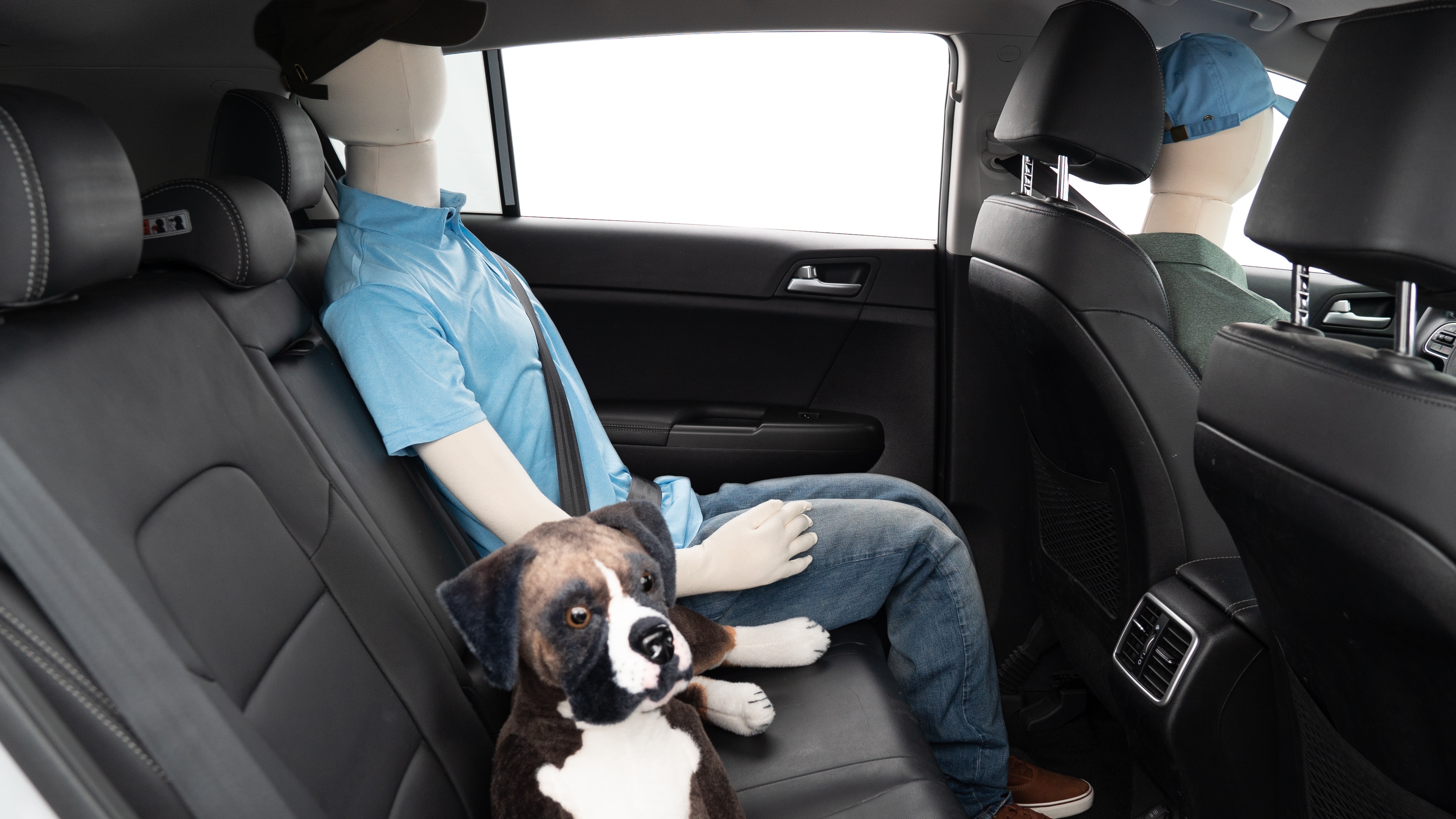 A series of second-row backseat photos is shown including one seating a baby seat, a dog and one seating a 6'1" mannequin.