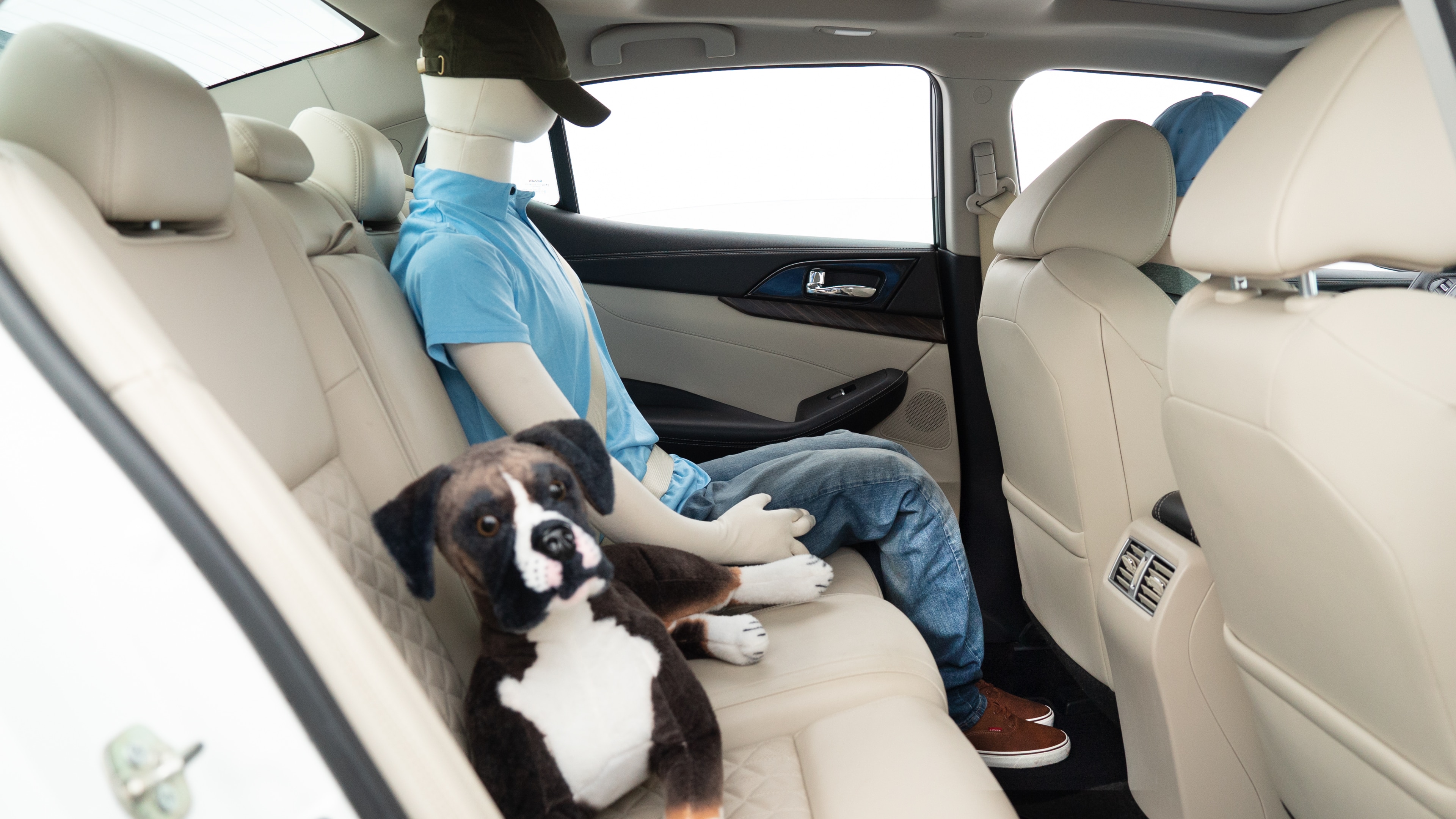 A series of second-row backseat photos is shown including one seating a baby seat, a dog and one seating a 6'1" mannequin.