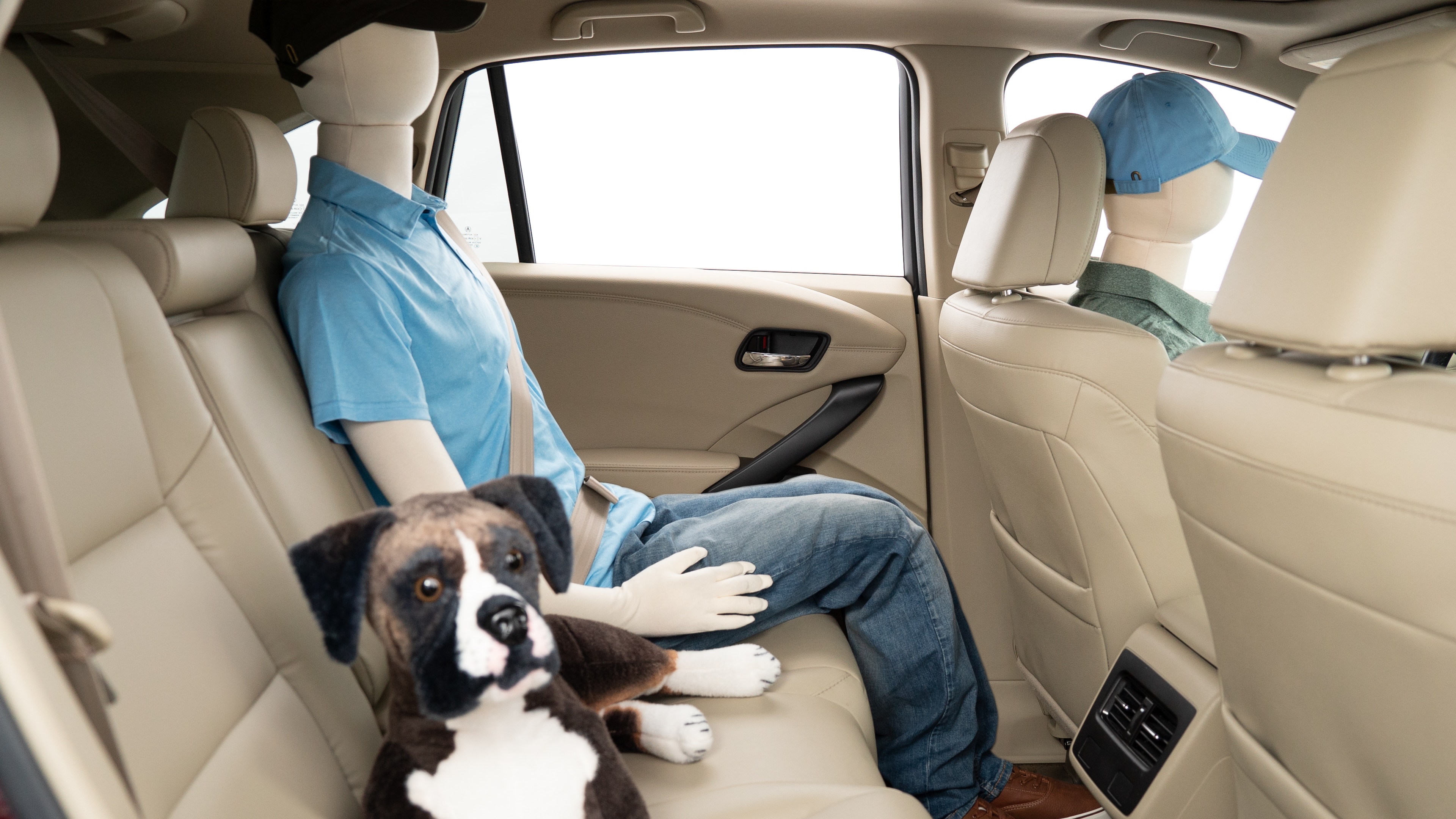 A series of second-row backseat photos is shown including one seating a baby seat, a dog and one seating a 6'1" mannequin.