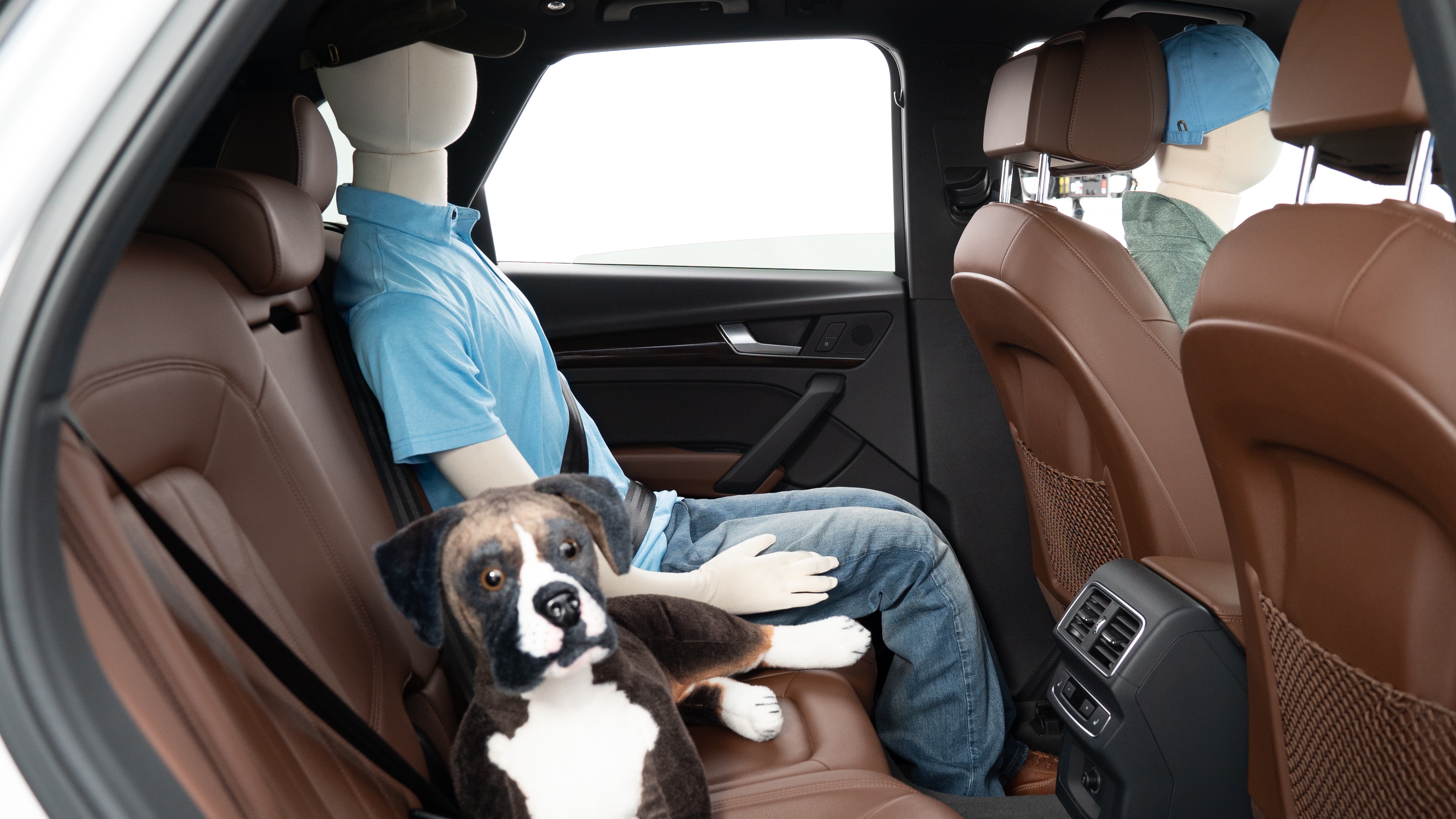 A series of second-row backseat photos is shown including one seating a baby seat, a dog and one seating a 6'1" mannequin.