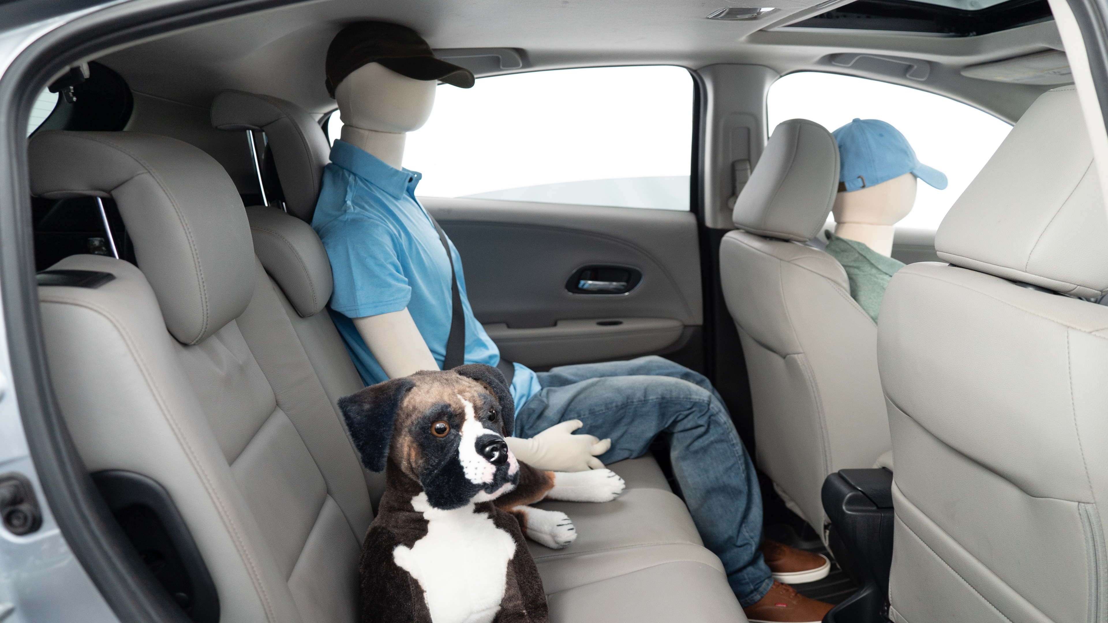 A series of second-row backseat photos is shown including one seating a baby seat, a dog and one seating a 6'1" mannequin.