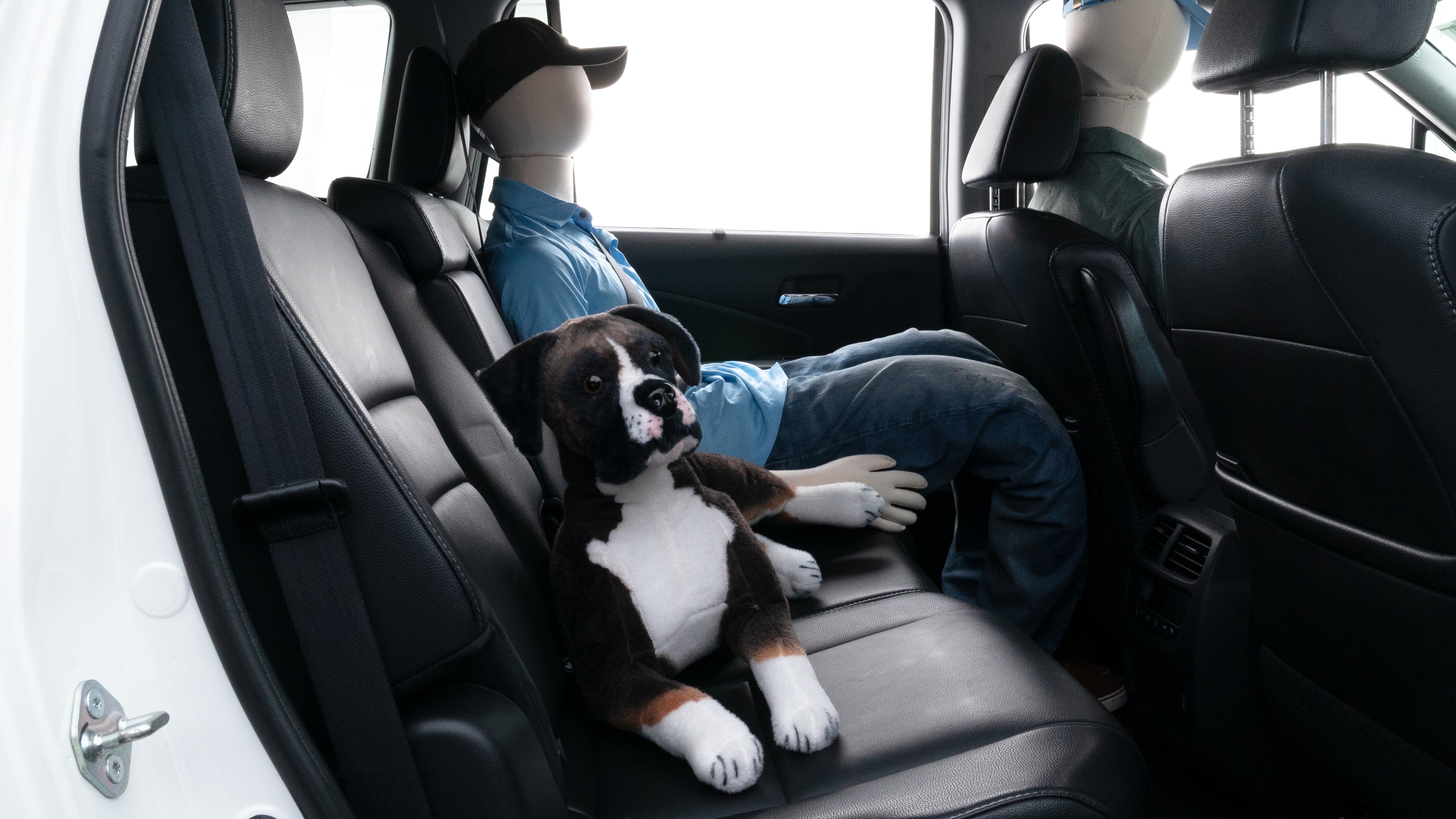 A series of second-row backseat photos is shown including one seating a baby seat, a dog and one seating a 6'1" mannequin.