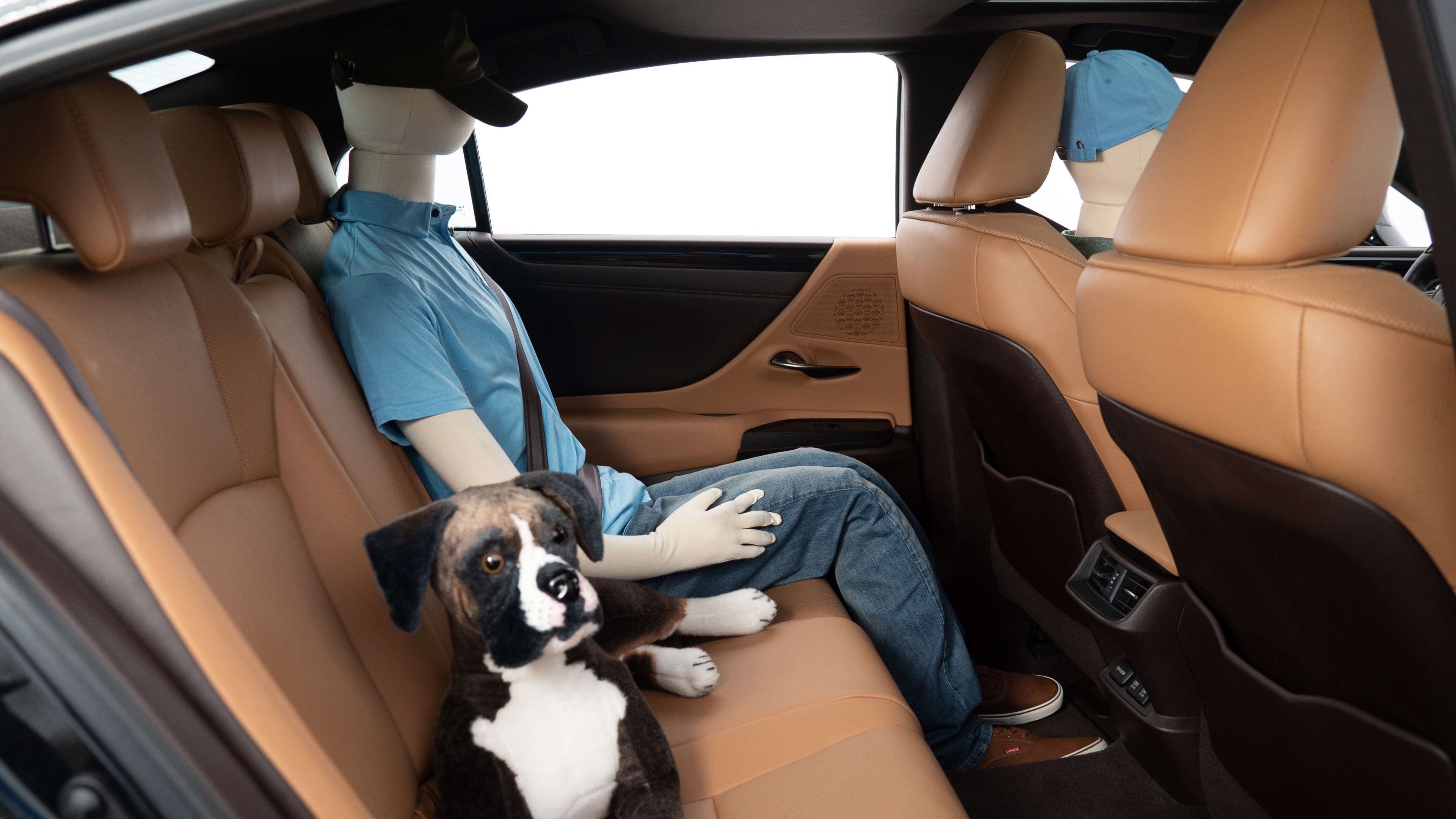 A series of second-row backseat photos is shown including one seating a baby seat, a dog and one seating a 6'1" mannequin.