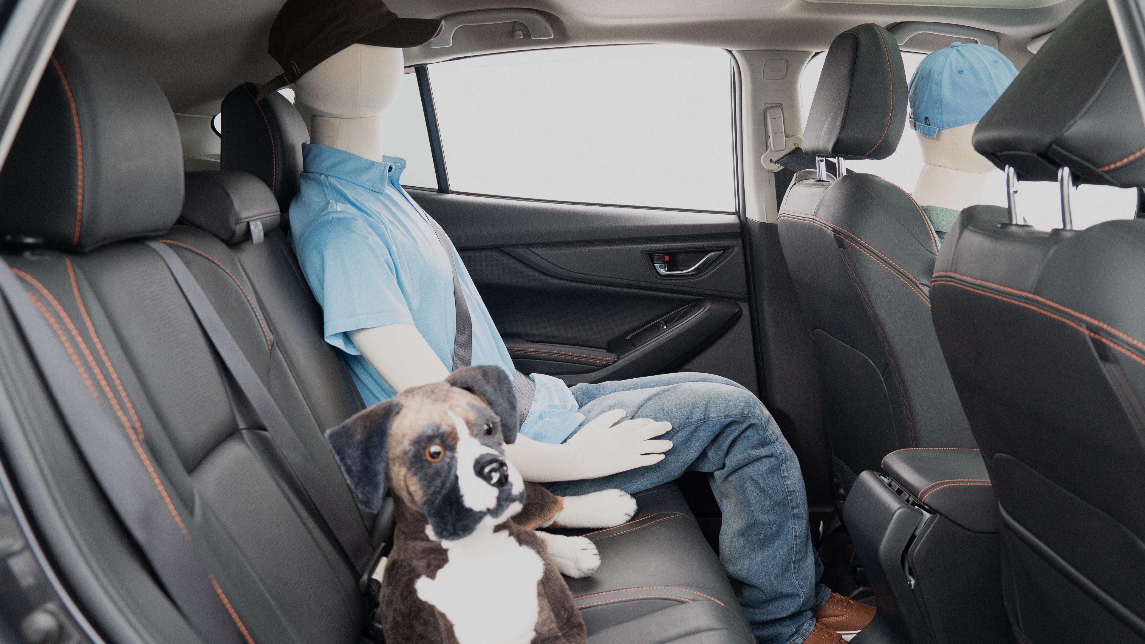 A series of second-row backseat photos is shown including one seating a baby seat, a dog and one seating a 6'1" mannequin.