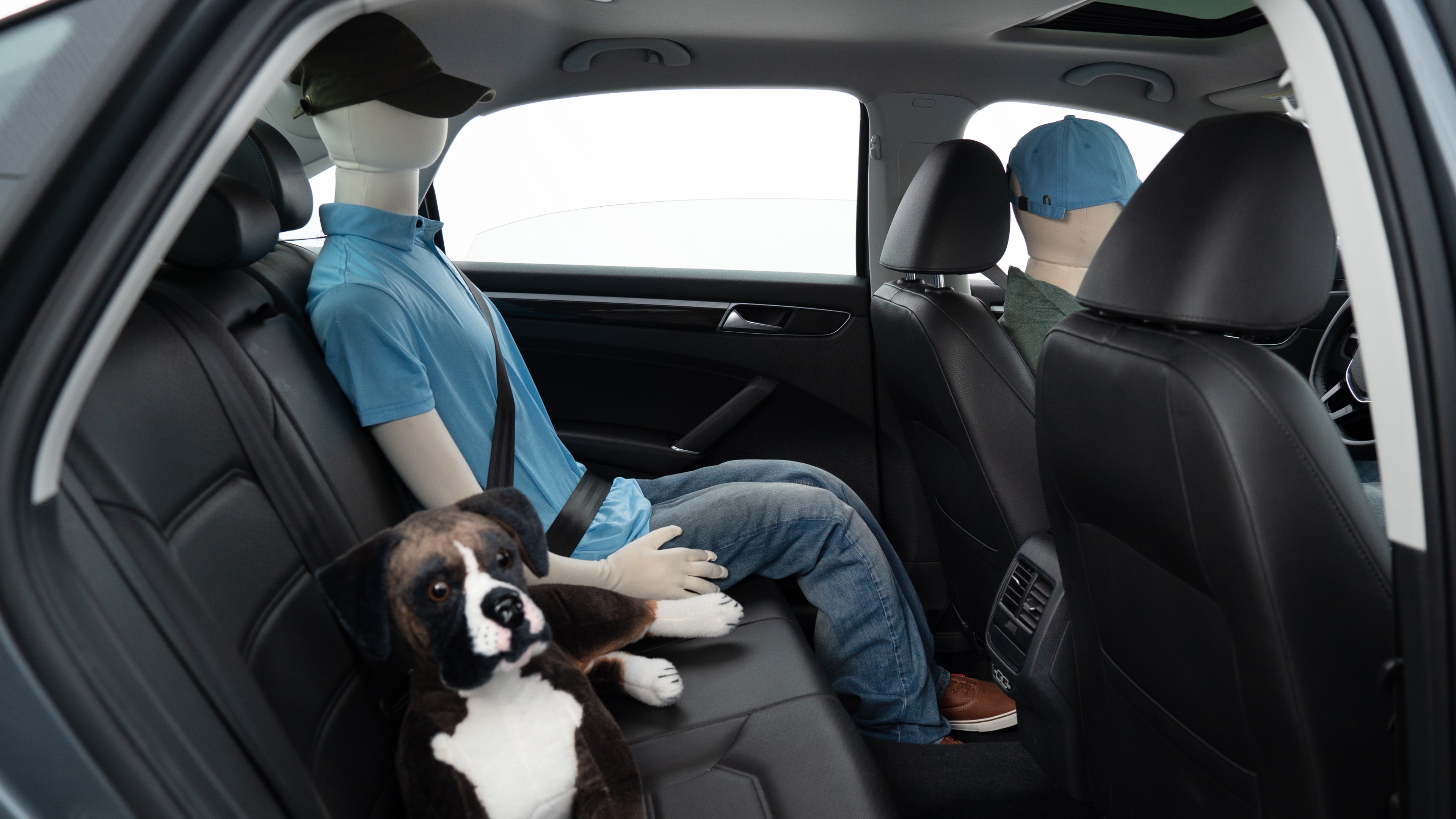A series of second-row backseat photos is shown including one seating a baby seat, a dog and one seating a 6'1" mannequin.
