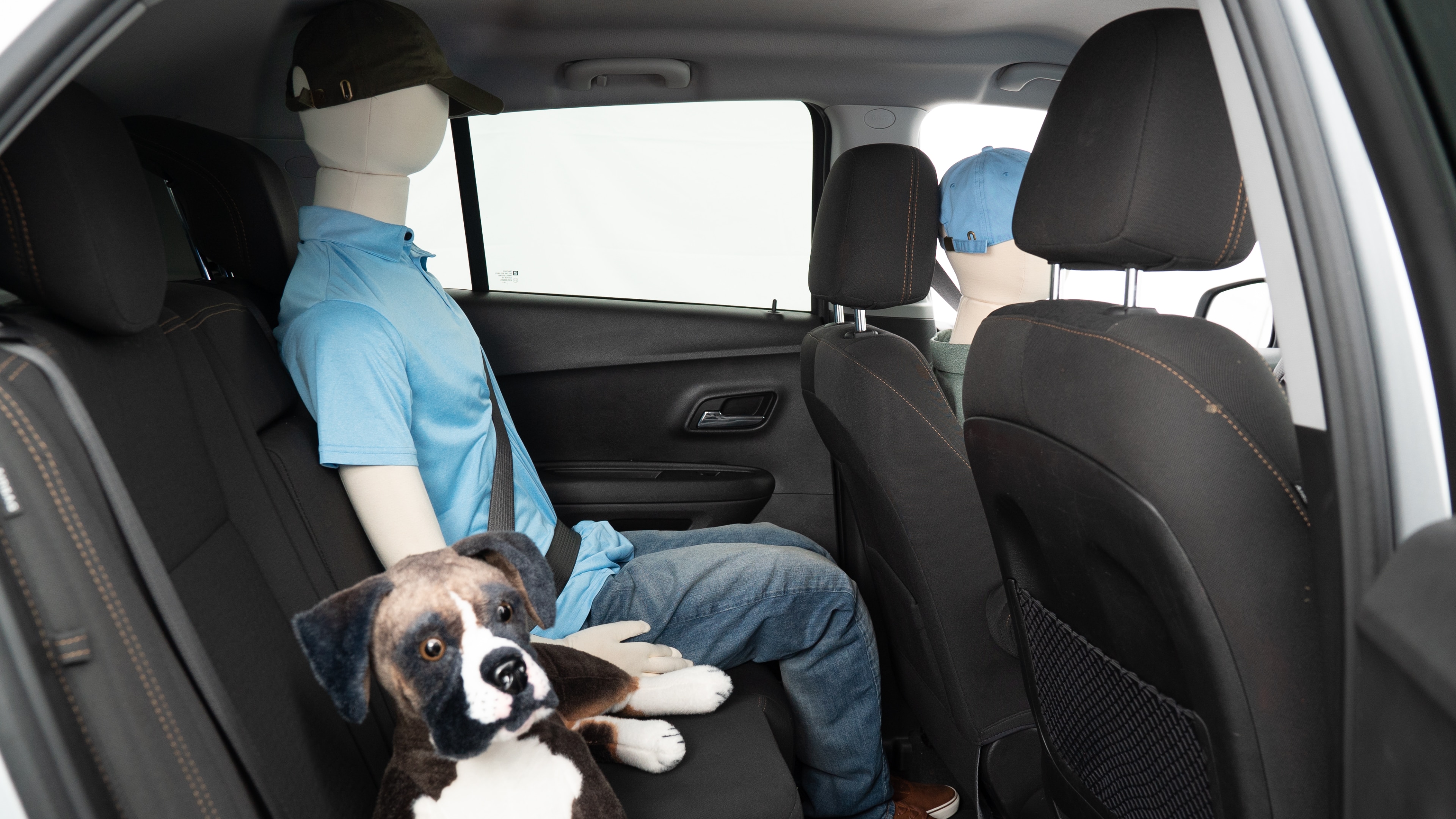 A series of second-row backseat photos is shown including one seating a baby seat, a dog and one seating a 6'1" mannequin.