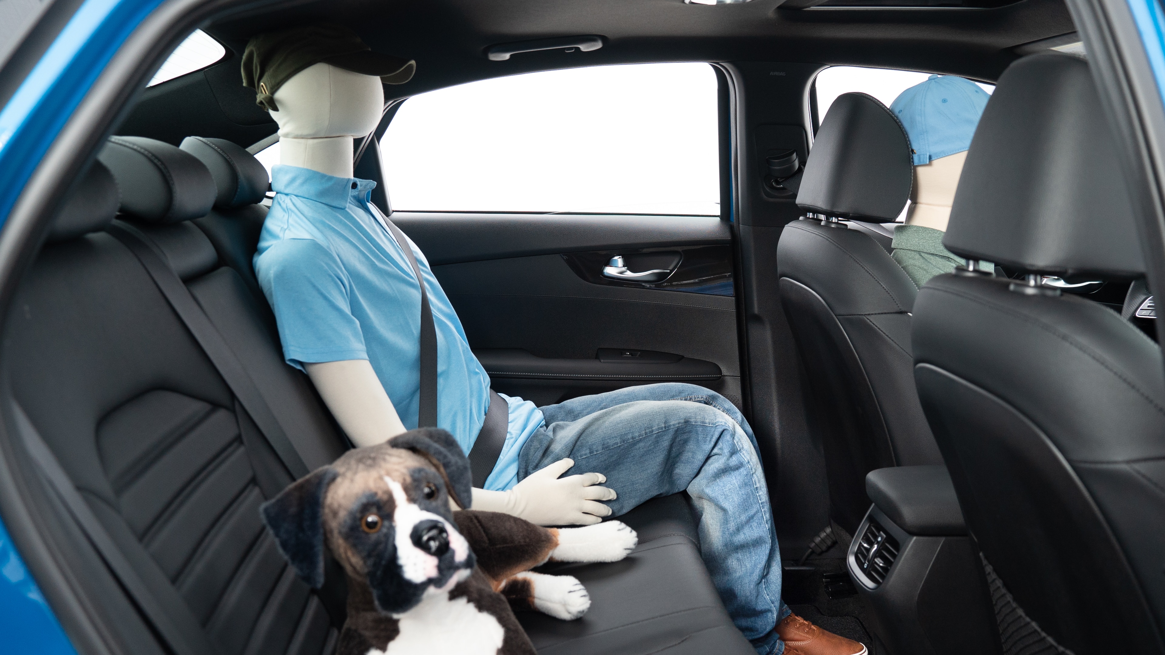 : A series of second-row backseat photos is shown including one seating a baby seat, a dog and one seating a 6'1" mannequin.