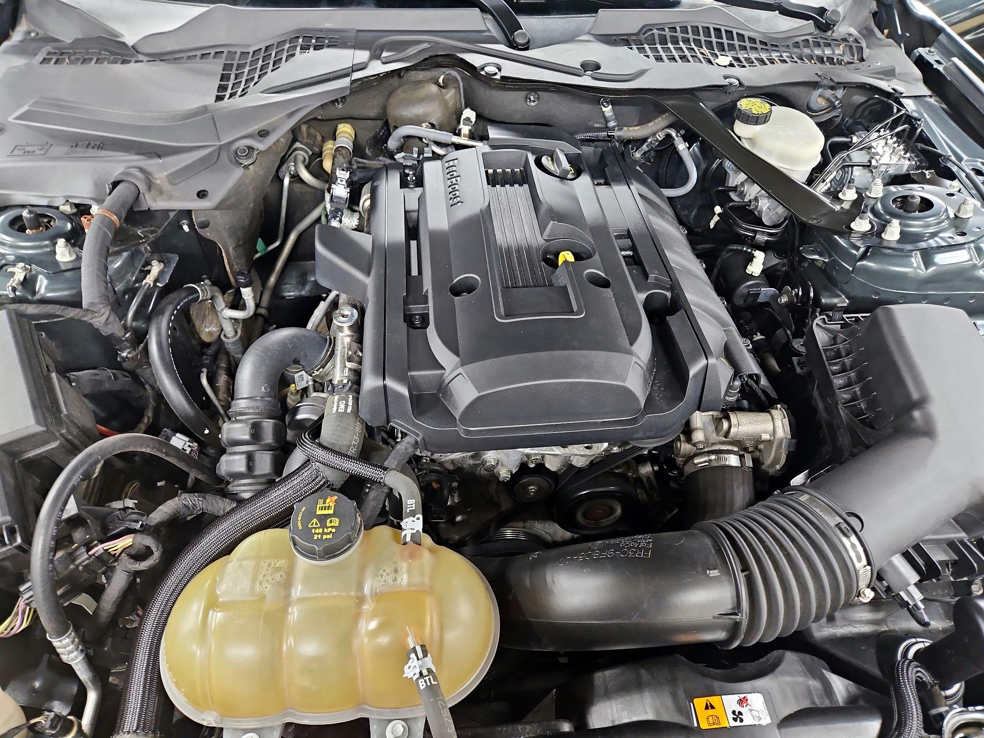 Thumbnail: 2015 Ford Mustang - 20