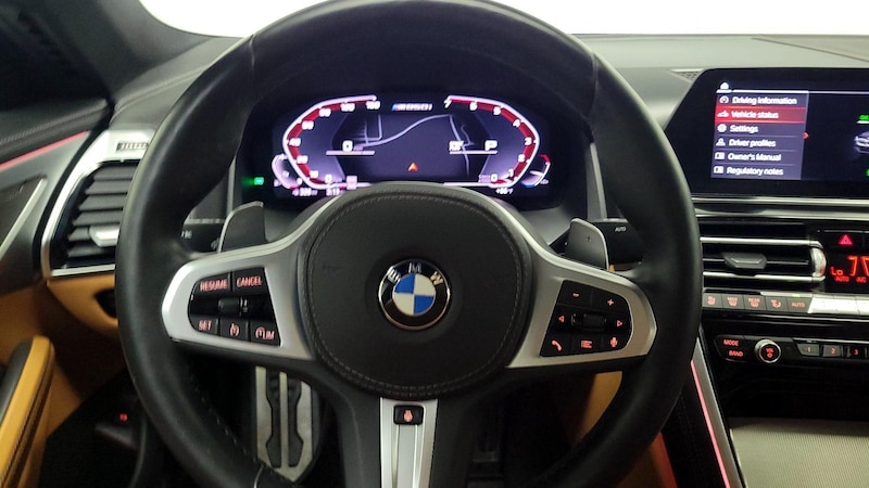 2020 BMW 8 Series 850i 10
