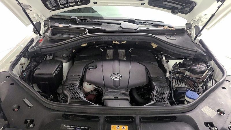 2019 Mercedes-Benz GLS 450 25