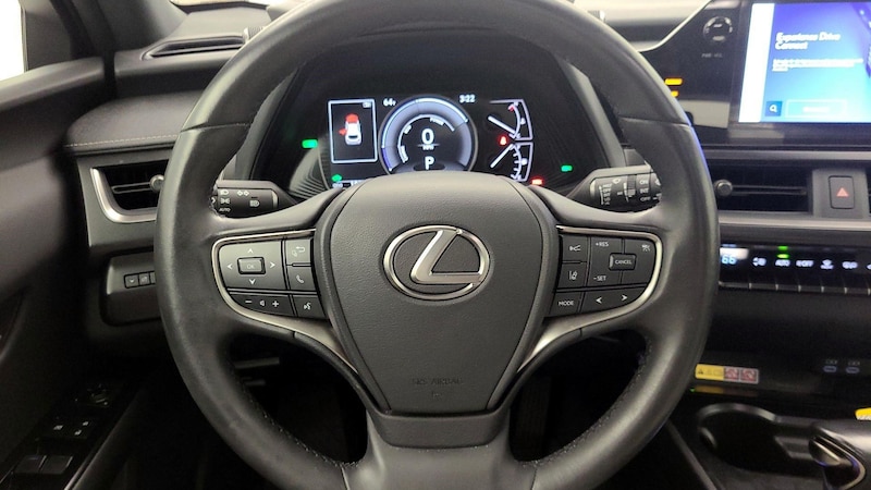 2024 Lexus UX 250h 10