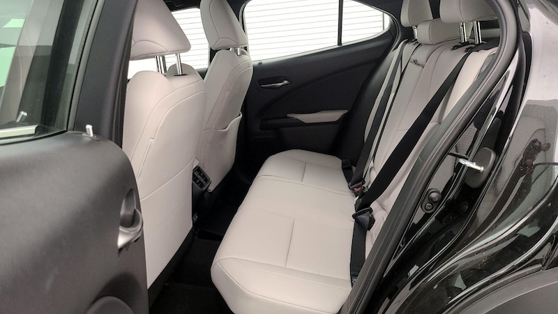 2024 Lexus UX 250h 20