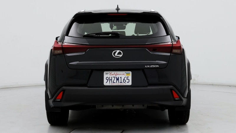 2024 Lexus UX 250h 6