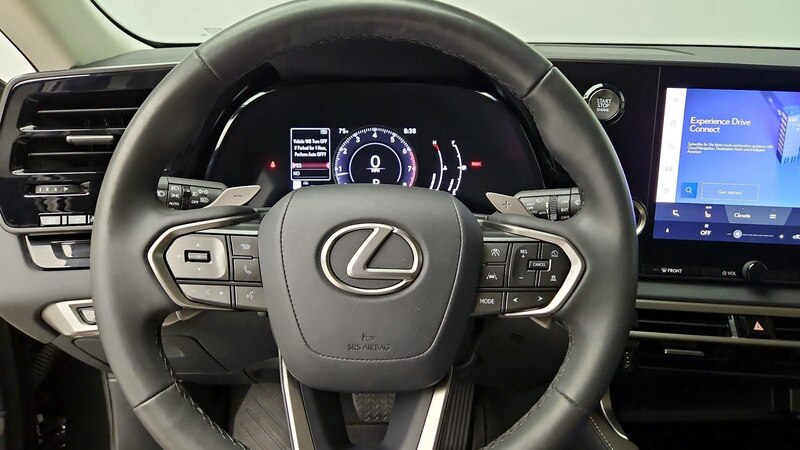 2024 Lexus RX 350 10