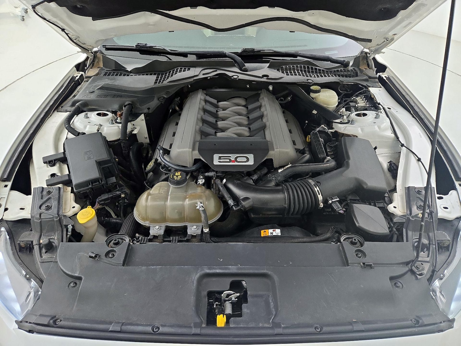 2017 Ford Mustang GT Premium - Photo 22