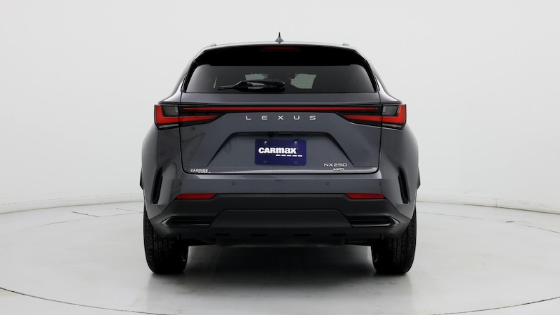 2022 Lexus NX 250 6