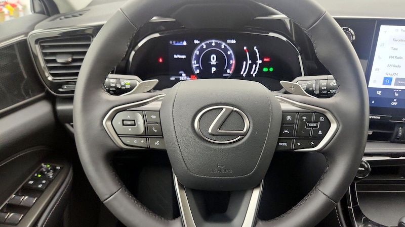 2024 Lexus NX 250 10