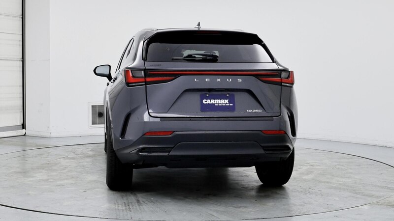 2024 Lexus NX 250 6