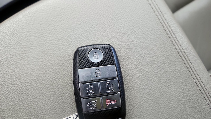 2017 Kia Sedona LX 23
