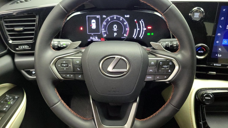 2024 Lexus NX 250 10