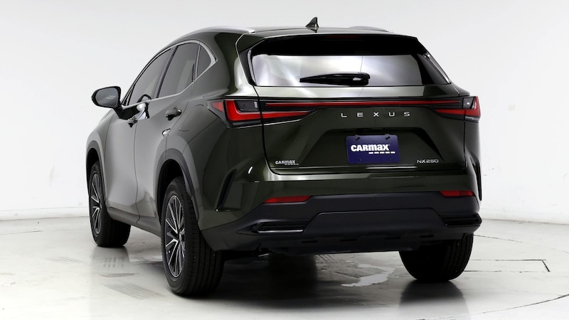 2024 Lexus NX 250 6