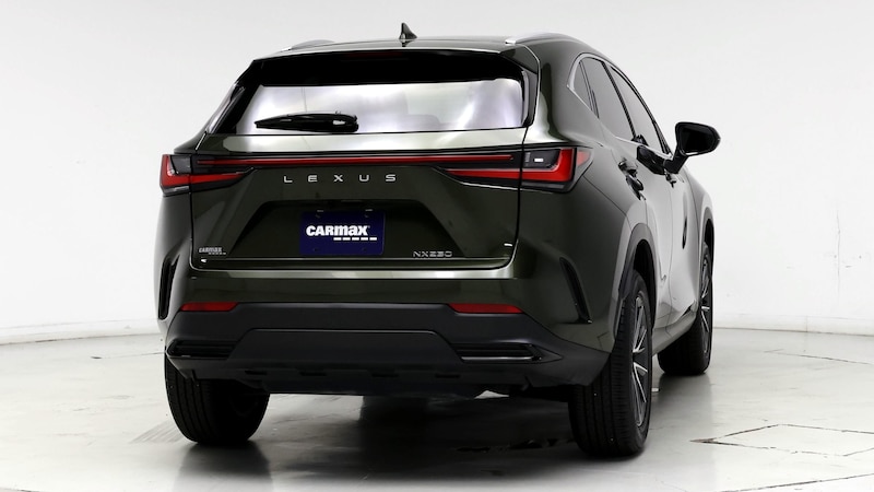 2024 Lexus NX 250 8