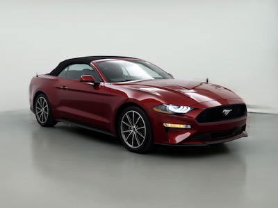 2019 Ford Mustang  -
                Mobile, AL