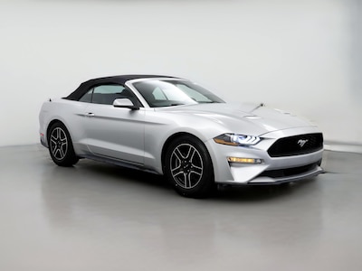 2019 Ford Mustang  -
                Mobile, AL