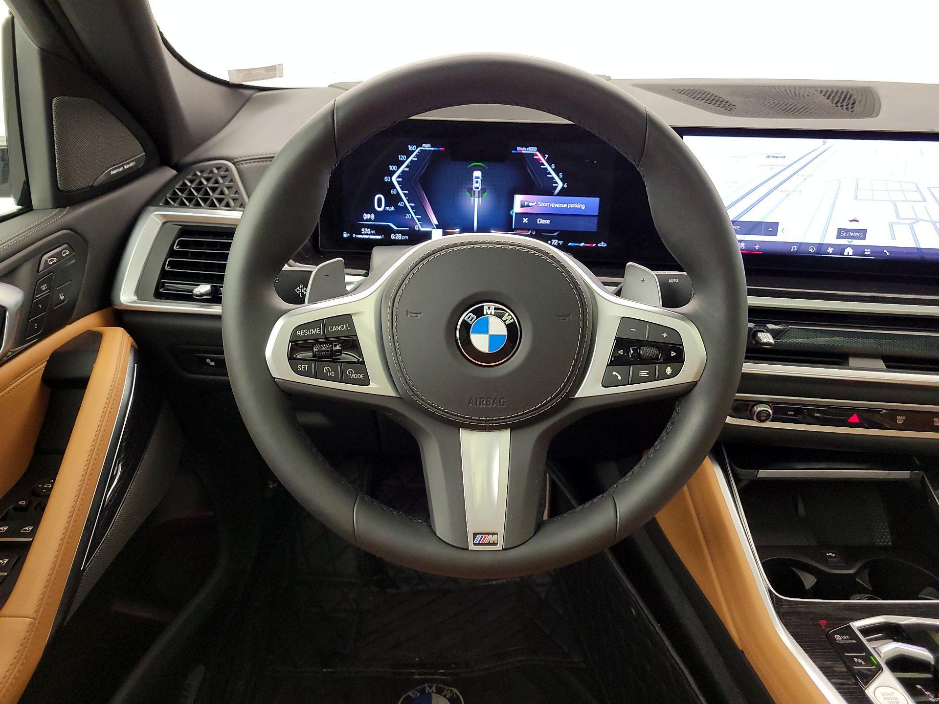 Thumbnail: 2025 BMW X6 - 10
