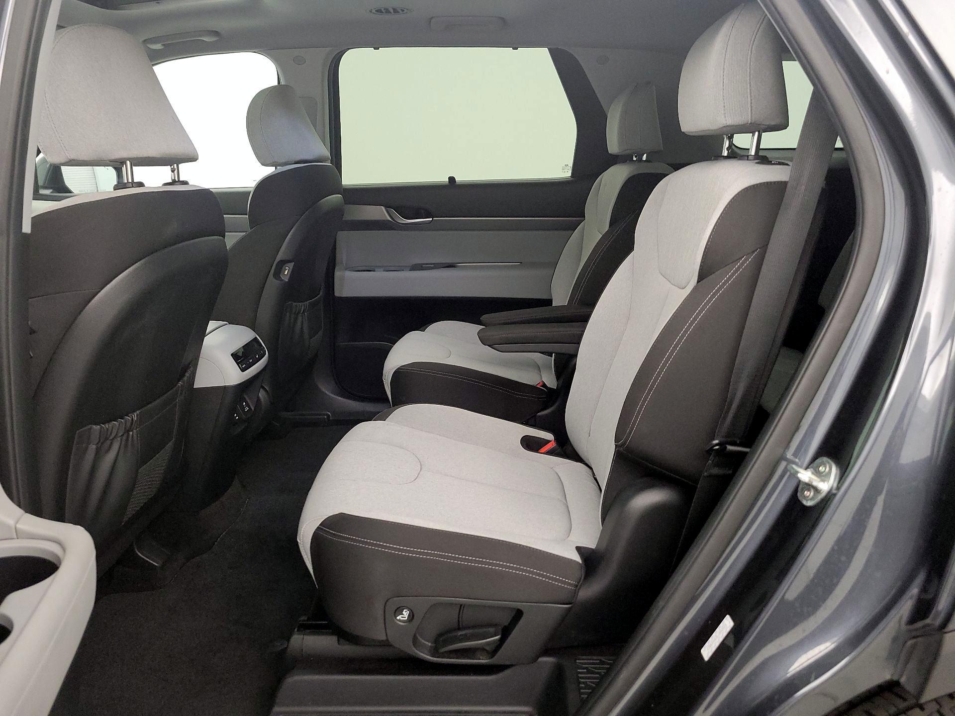 Thumbnail: 2020 Hyundai Palisade - 20