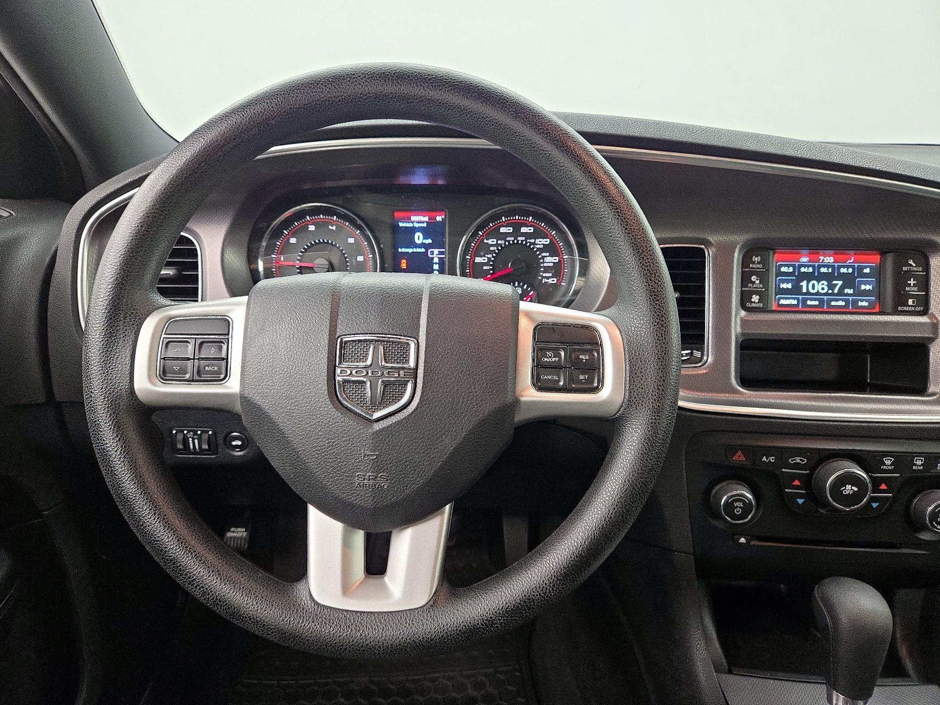 Thumbnail: 2014 Dodge Charger - 10