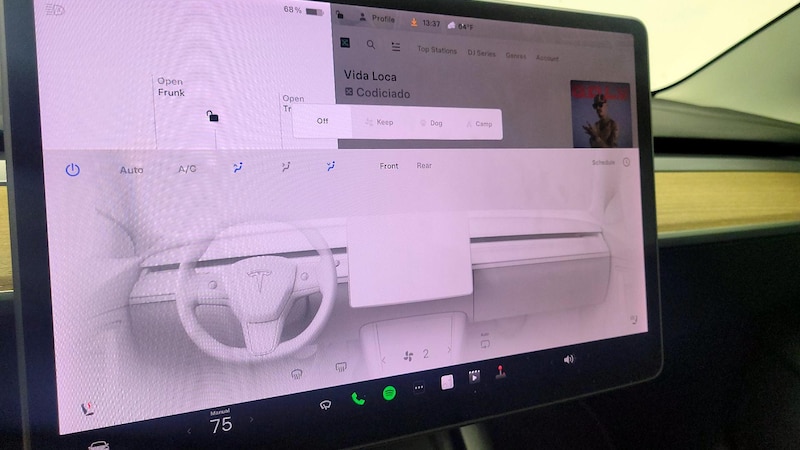 2021 Tesla Model 3 Long Range 16