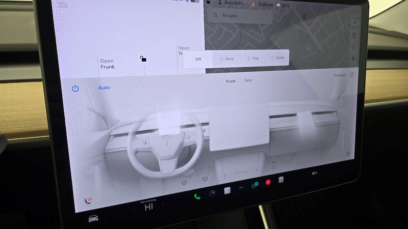 2019 Tesla Model 3 Long Range 15