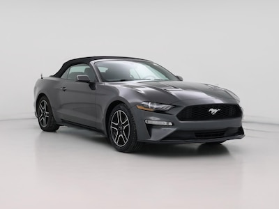 2019 Ford Mustang  -
                Greensboro, NC