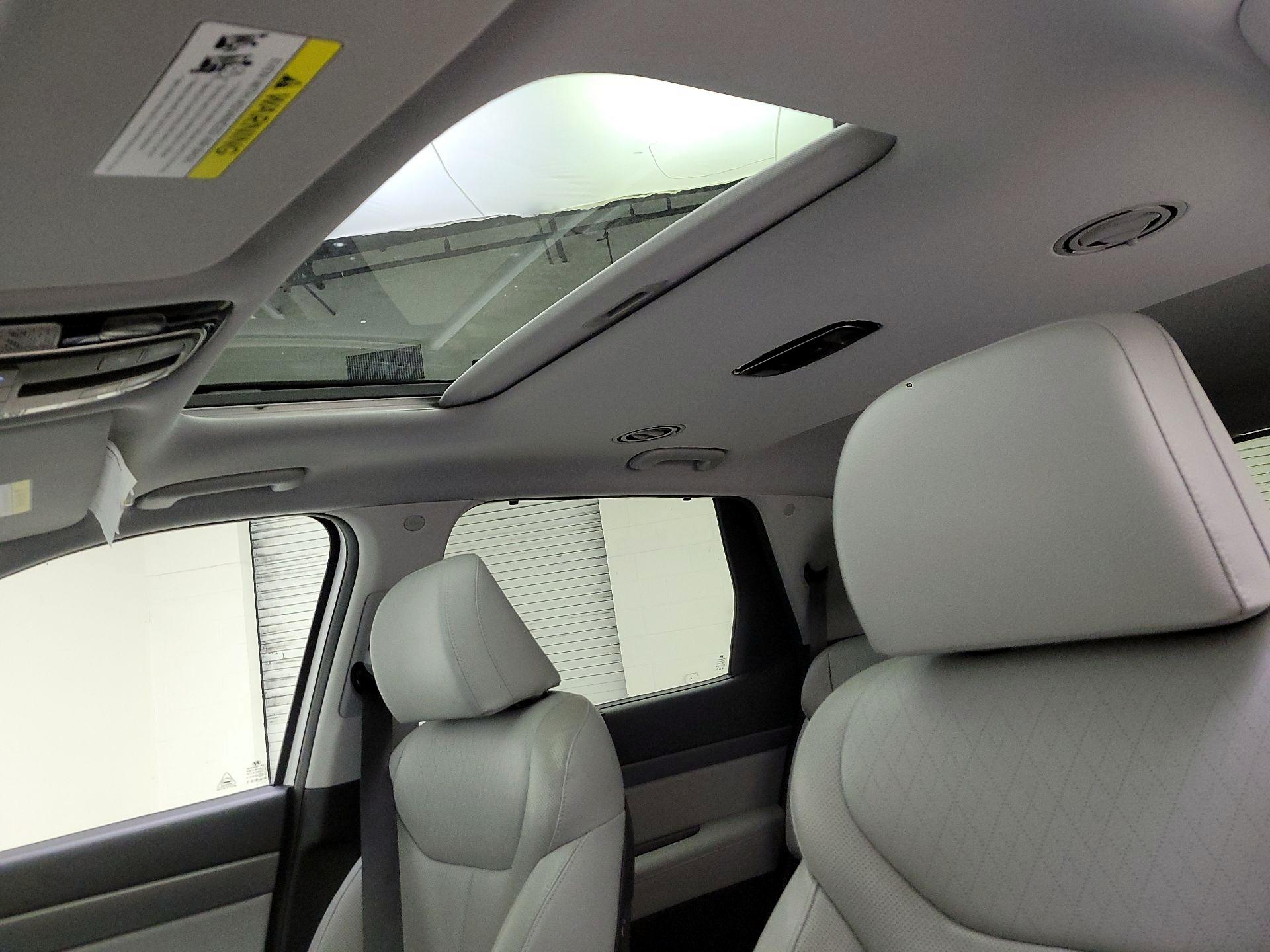 Thumbnail: 2021 Hyundai Palisade - 20