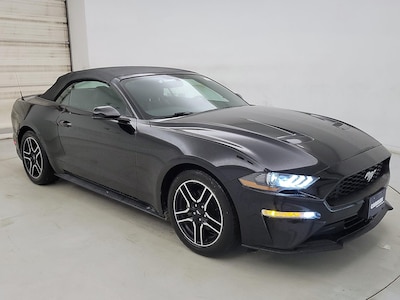 2019 Ford Mustang  -
                Raleigh, NC