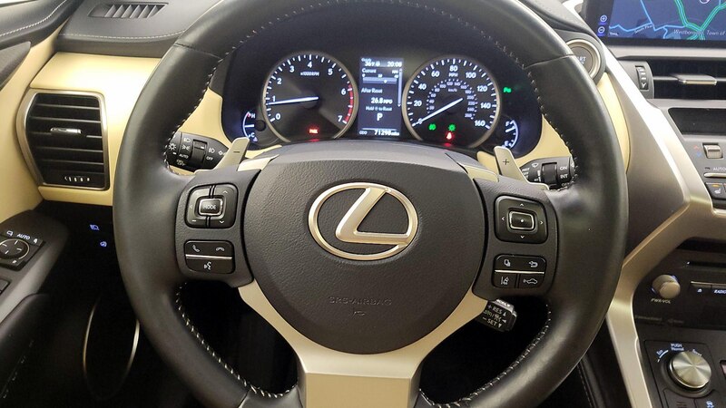 2019 Lexus NX 300 10