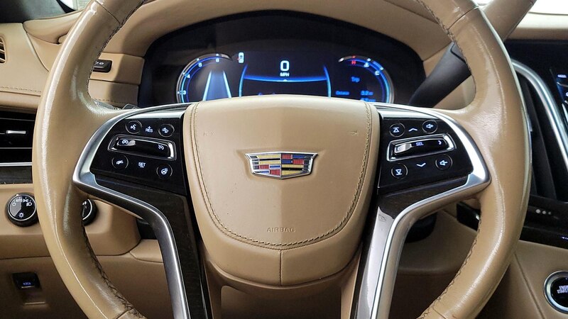 2019 Cadillac Escalade ESV Platinum 10