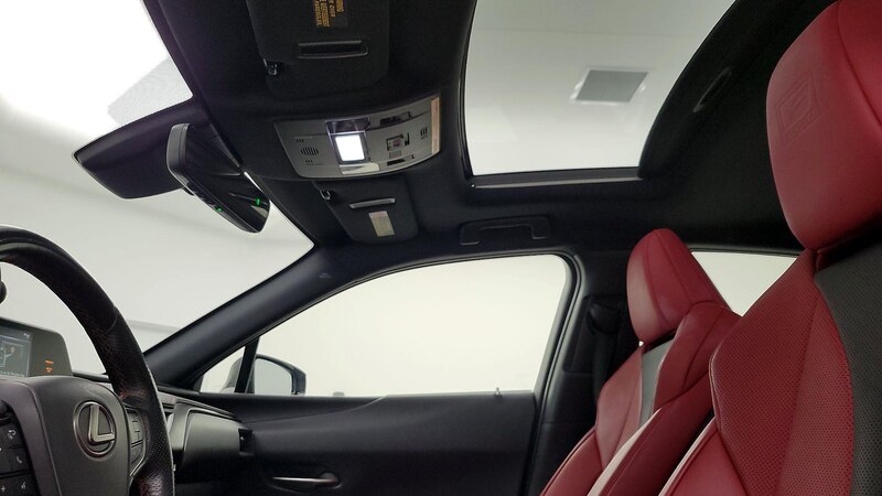 2020 Lexus UX 250h 19