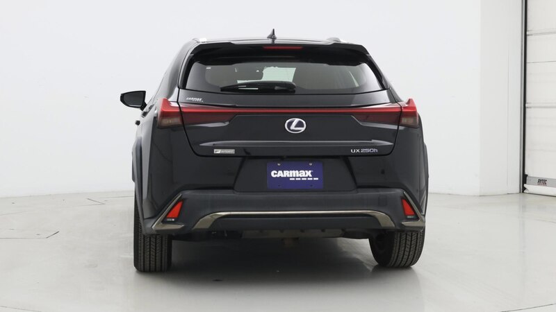 2020 Lexus UX 250h 6