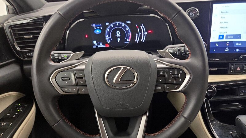 2024 Lexus NX 250 10