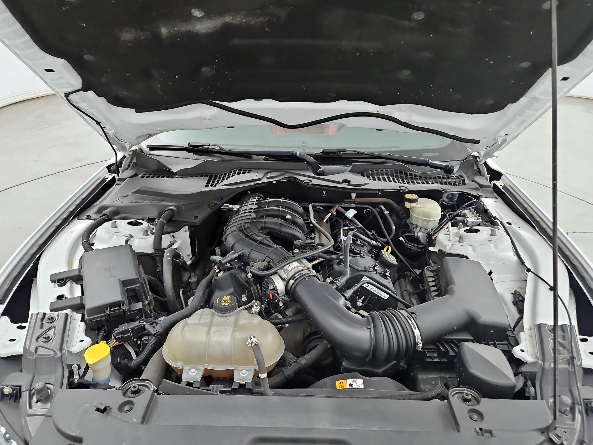Thumbnail: 2016 Ford Mustang - 20