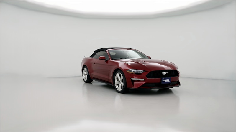 2019 Ford Mustang  Hero Image