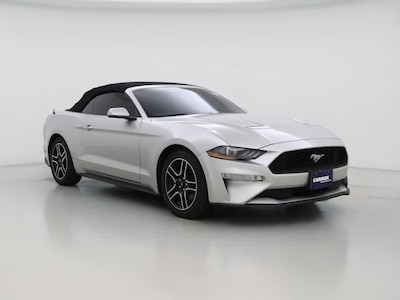 2019 Ford Mustang  -
                Orlando, FL