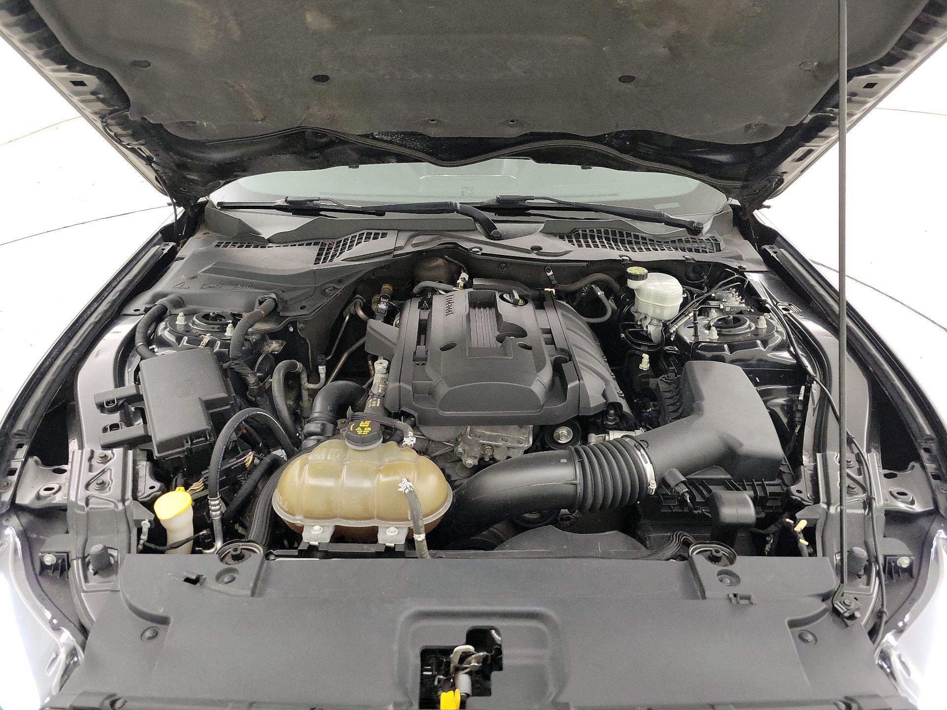 Thumbnail: 2015 Ford Mustang - 20