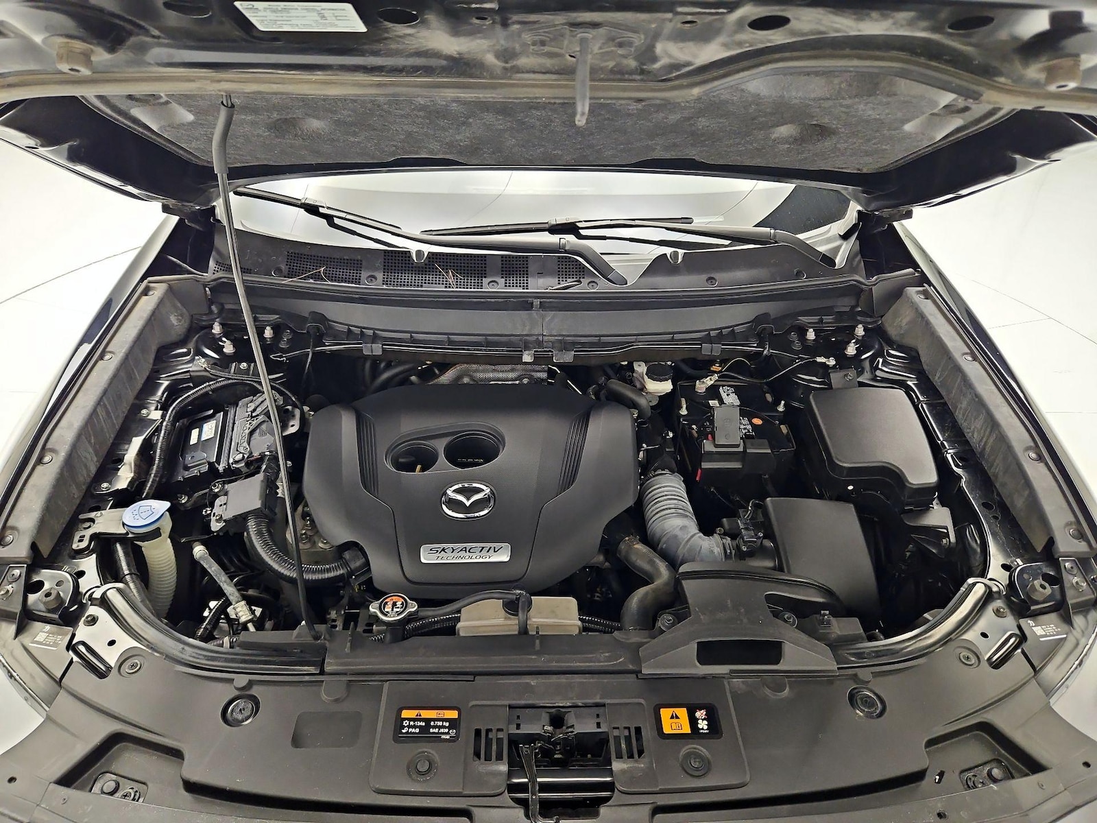 View 24