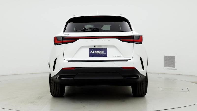 2024 Lexus NX 250 6