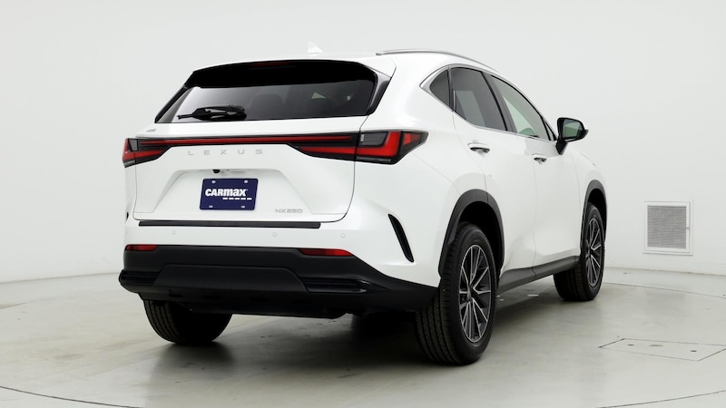 2024 Lexus NX 250 8