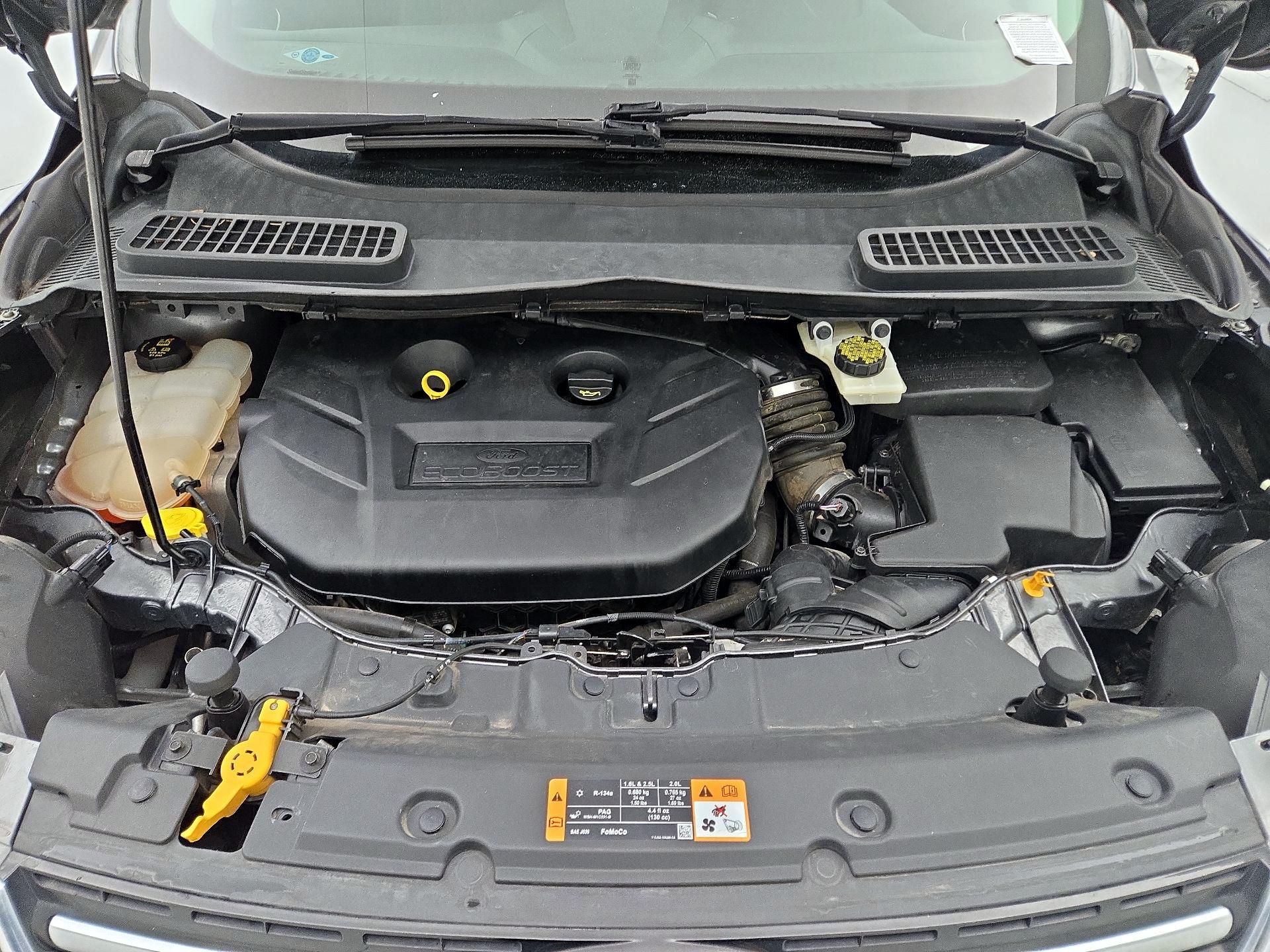 Thumbnail: 2014 Ford Escape - 19
